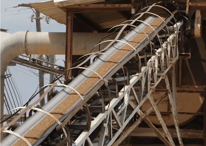 Grain conveyor belt in industrial facility.