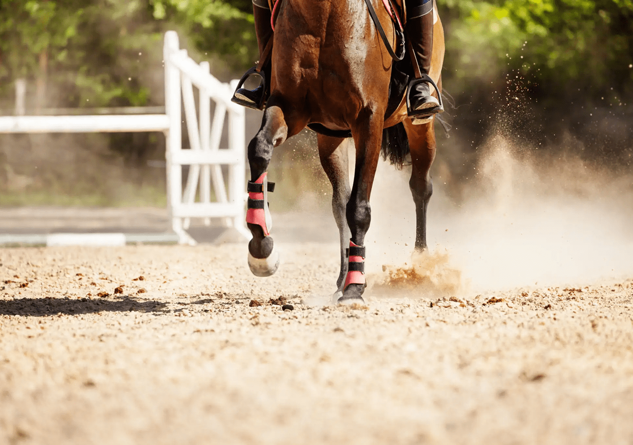 Texas Quality Products